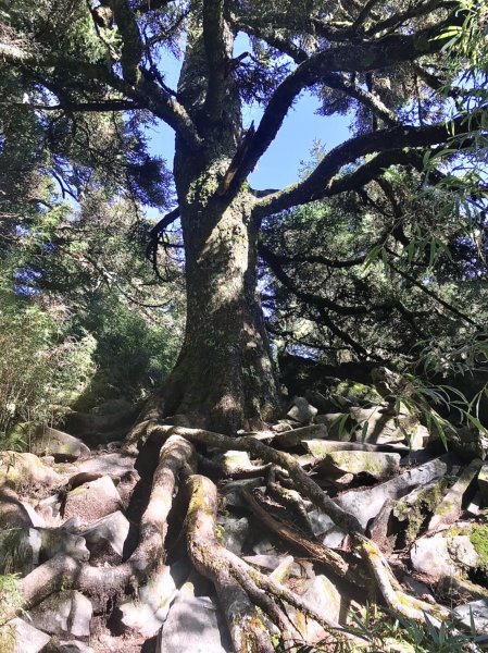 1101025-26屏風山1498076