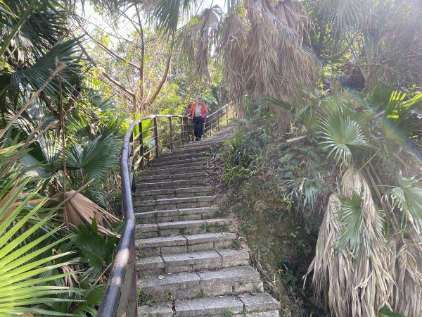 四獸山健走紀錄｜冬日九五峰健走｜福德街51巷起登 × 豹山溪步道下山2985889