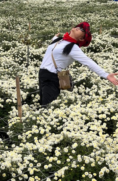 小百岳關刀山889m+銅鑼杭菊1924077
