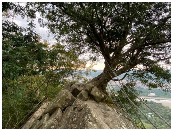旗靈縱走(旗尾山、福美山、金字面山、人頭山、靈山)2996461
