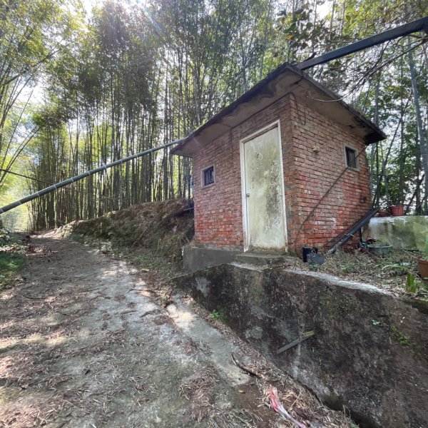 20250822_集集大山（南投小百岳）2941196