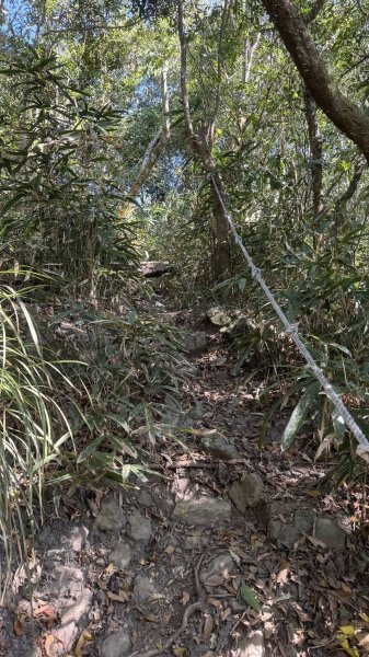 20260212 小百岳白雲山及西阿里關山3002906