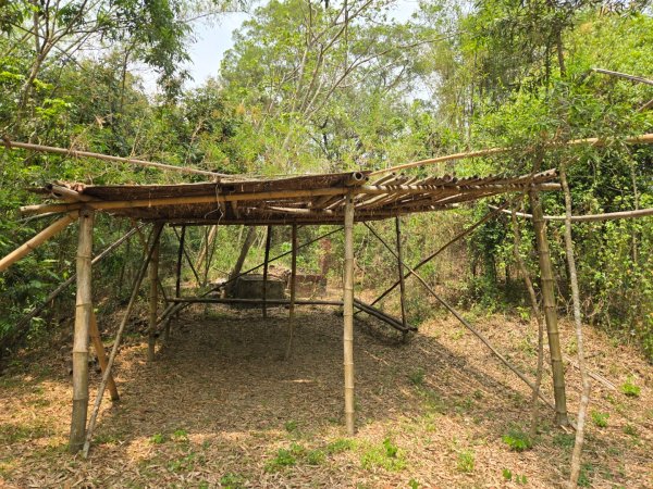 2025-04-07 左鎮後坑古道（牛港嶺）2757663