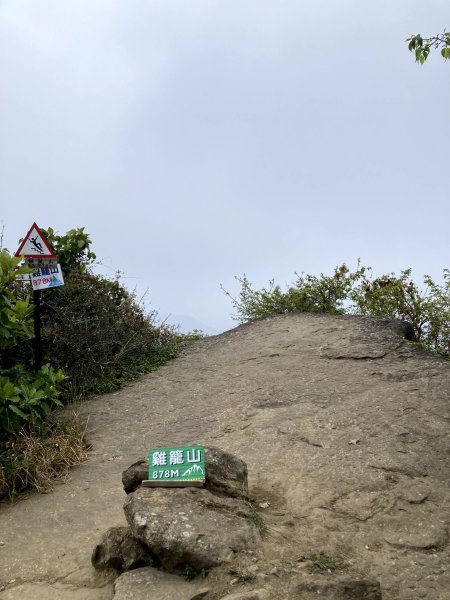 2024-01-25 登關子嶺雞籠山順訪臺灣木材故事館2409590