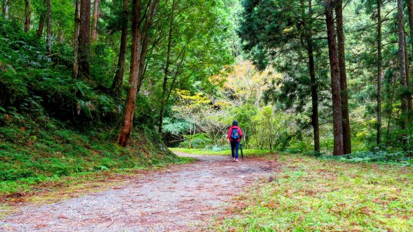 油羅山(一上三下)2959190