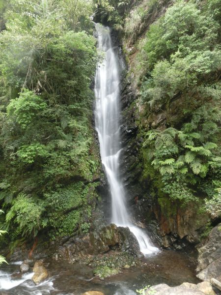 九寮溪自然步道封面