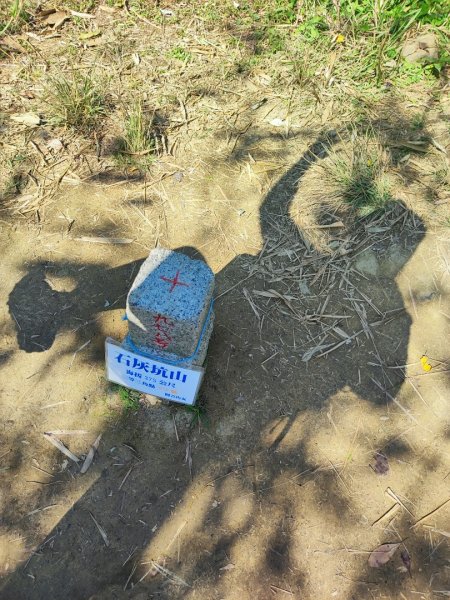 新嶺山步道-大湖頂山-大棟山-鶯歌大榕樹-福源山步道2990678