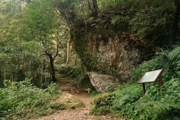 奮起湖大凍山步道2011391