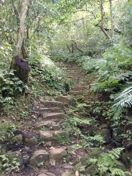 基隆市暖東舊道+頂子寮山+五分山步道(五分山)去回2946205