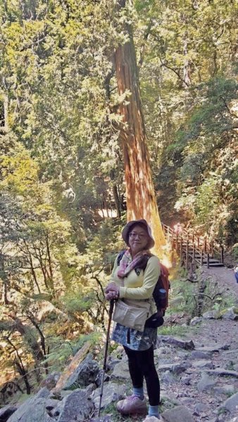 漫遊大雪山森林 訪尋雪山大小神木 快閃天池2922763