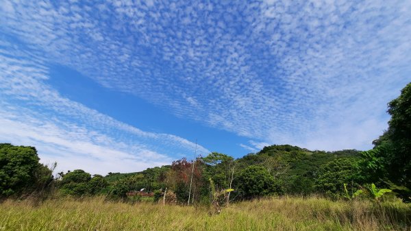 《台中》新春減肥｜大坑步道7上6下202202061602042