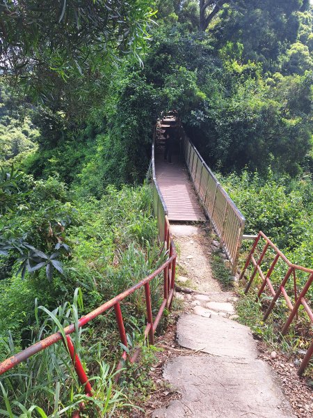 田中森林登山步道＋茶香步道＋赤水崎公園步道202508172862076