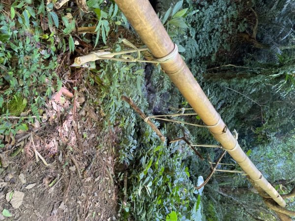 大溪打鐵寮古道白石埤線上白石山2633757