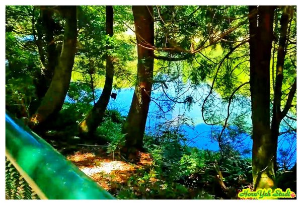 北環段七星山人車分道 七星瀑布 夢幻湖 下冷水坑泡腳趣2864595