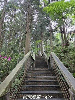 【南投鹿谷】溪頭天文台登山步道3037371