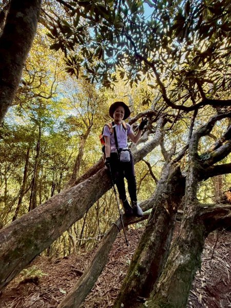 🌈11/9(日)高島縱走~高台山連走島田山山徑✨FB：熊熊趴爬走🌈2932488