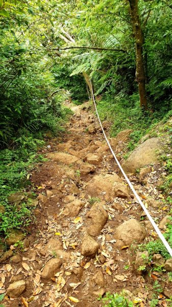 大屯山連峰步道（大屯主，南，西峰連走）926849