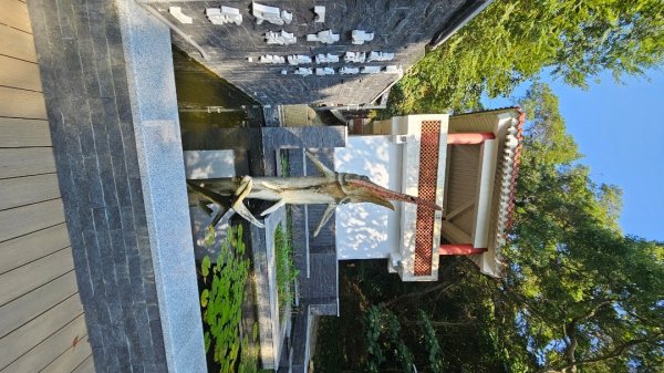 【誰是本尊？誰又是分身？】解鎖第53座小百岳#038鐵砧山2903840