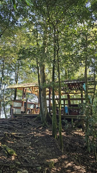 【尾寮山靜修日：一人一山，一念清明，山無語，我自省】🌿2937943