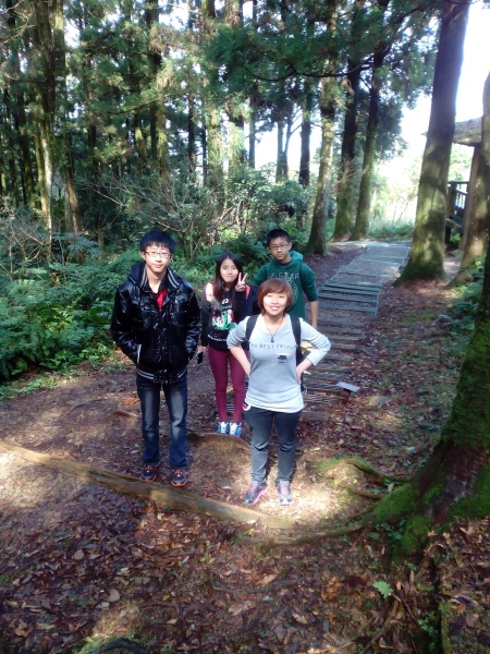 東眼山國家森林遊樂區 104.02.1652426