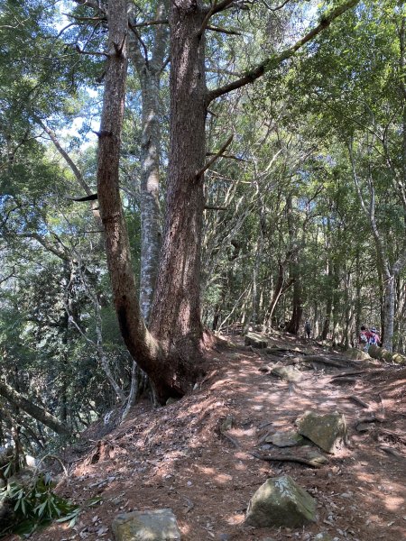 波津加山3059416
