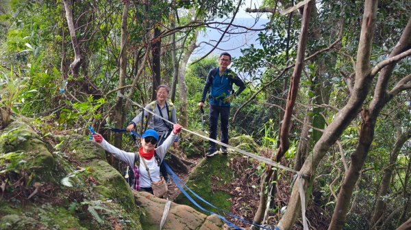 東勢大崙、東勢坑山、觀音湖山O走2986311