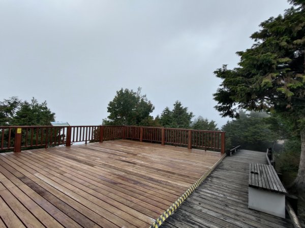 【新竹縣五峰鄉】雲霧步道2833756