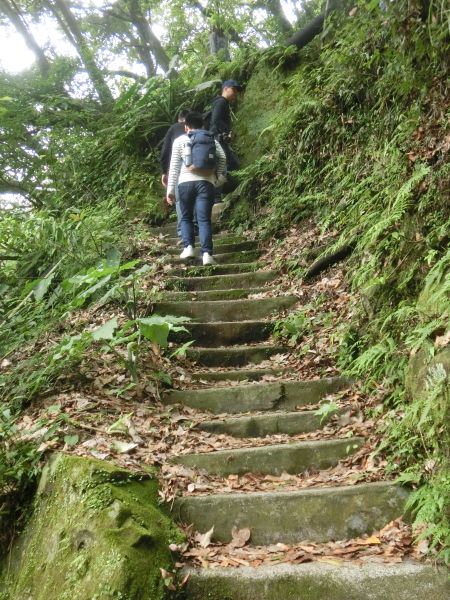 陽明公園．大屯瀑布．青春嶺273199