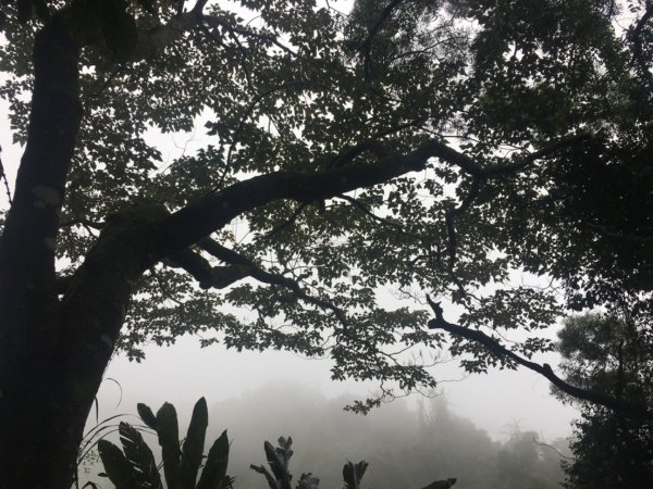 38溪洲山2729726