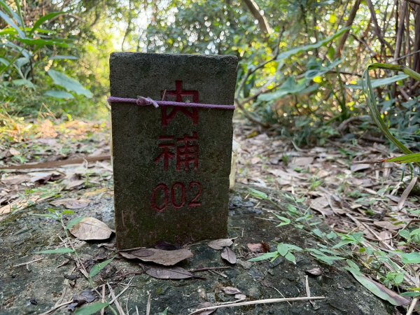 新北 金山 磺港山 獅頭山3000194