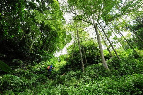 【新北市】祖眉坑山連走溪南尖山