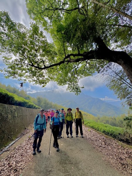鳳凰谷步道走凍頂麒麟山2770432