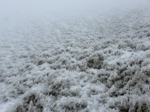 南二段撤退行2743042