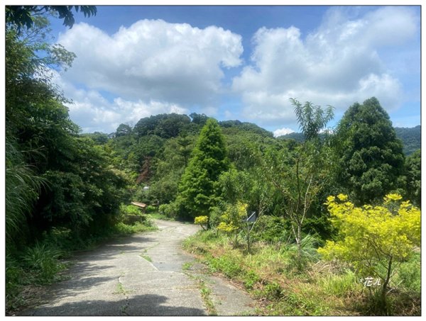 關刀山 小百岳 (薑麻園北入口)3084606