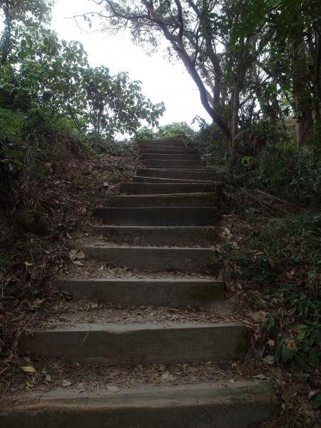 清水岩~中央領~橫山觀日~山湖步道之旅96801