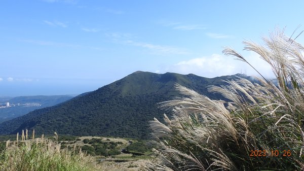 大屯山夜景/晨曦/日出/雲瀑/芒花&小觀音山西峰雲瀑10/26 & 11/12326934