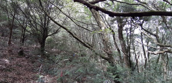 白姑大山之旅743405