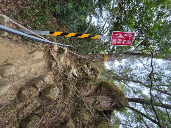 台中大坑9號／9之1／6號／7號O繞3連峰（西平山／平和山／大山母山）2709810