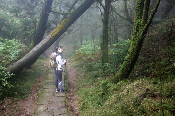 台北大縱走第三段 風櫃口-頂山-擎天崗-冷水坑-七星山-小油坑1585326