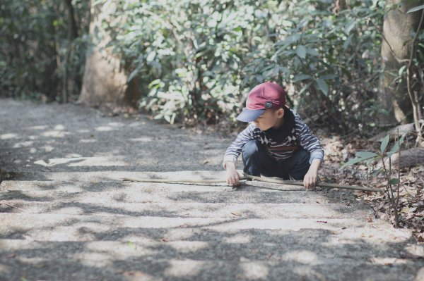 橫山步道-四歲小樂的第35座小百岳1272350
