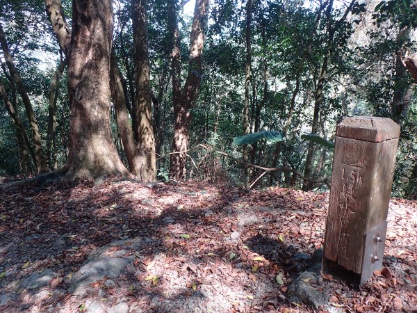 步道巡訪員│浸水營前段步道3月巡訪日誌892618