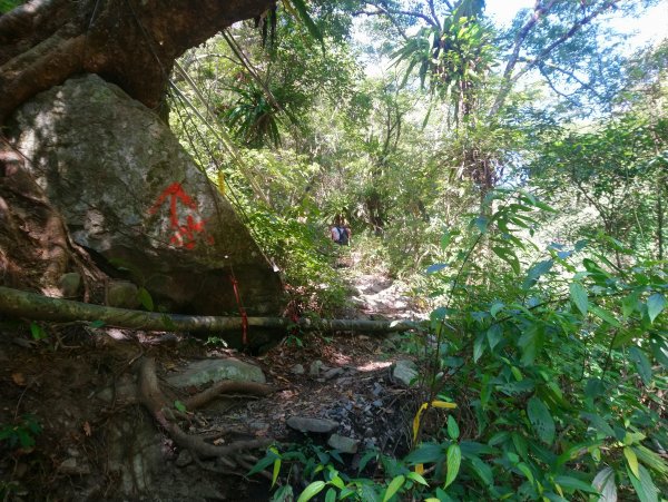 屋我尾山(麗陽線)821169