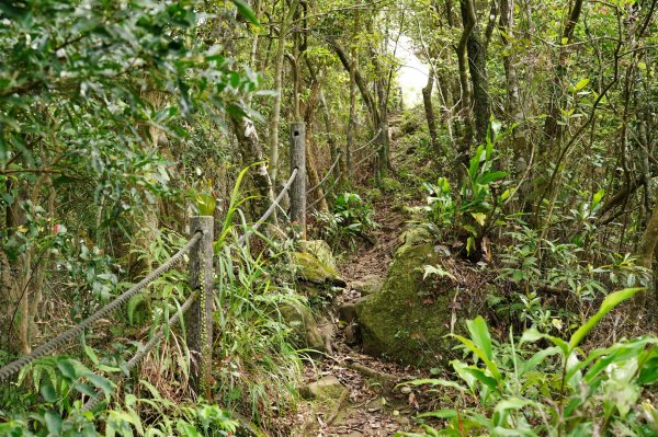 新北 石碇 皇帝殿西峰、串空湖山2479177