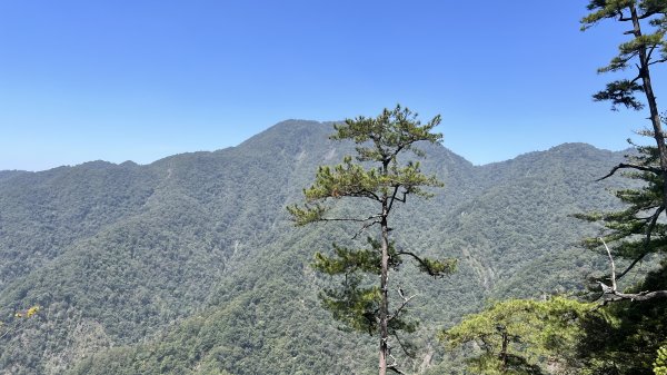 谷關 波津加 大雪山遊客中心上下來回2115627