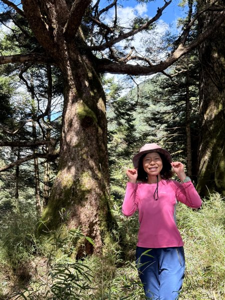 觀雲山莊經小完美谷上畢祿山O繞2917201