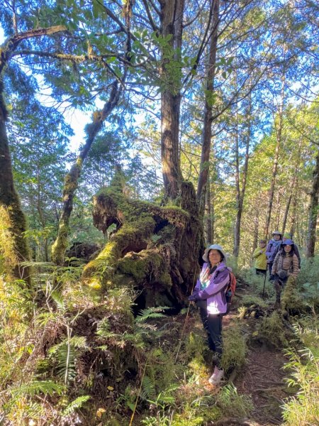 走入魔幻森林 探訪三星池與妹池2950150