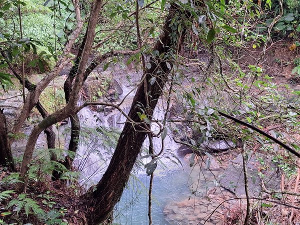 微笑山線：【五分山系】望古瀑布段+平溪小黃山段+慈恩嶺2932580