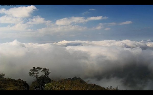 阿里山雲瀑&雲海/富士山直播即時視訊841043