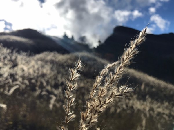 雪山北峰1168718