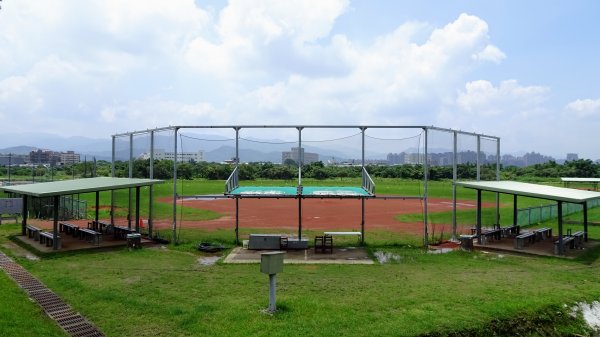 山佳荷花池2172758